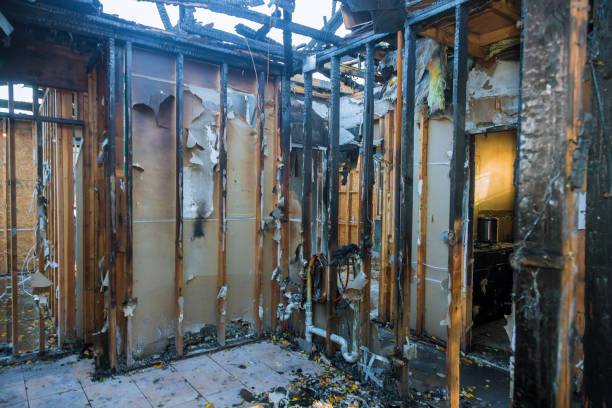 Professional Fire Damage Assessment technician working in Holley, FL